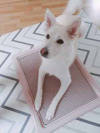 딸랑구둘🥰님이 올린 리뷰 사진 2