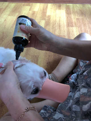 쫑쫑님이 올린 리뷰 사진 2