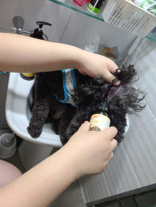 잠주부옥님이 올린 리뷰 사진 3