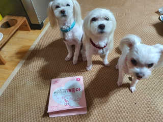 My Pet Care 천연단백질 관절건강에 개좋아 — 4점을 준 리뷰어가 2020년 11월 올린 사용 사진