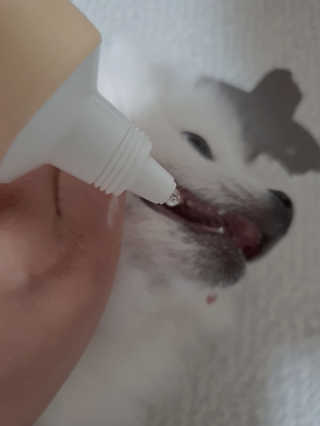 ssosso_yab님이 올린 리뷰 사진 2