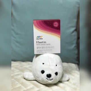 물끼님이 올린 리뷰 사진 1