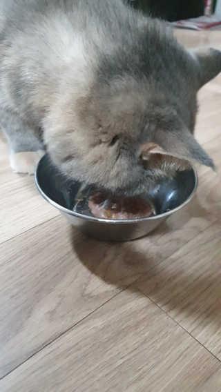 우동한그릇님이 올린 리뷰 사진 4