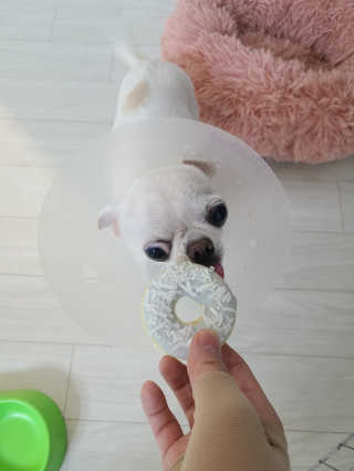 박쫑님이 올린 리뷰 사진 2