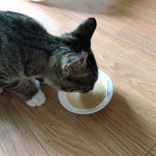 쎄미님이 올린 리뷰 사진 3