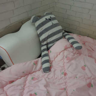 죠니님이 올린 리뷰 사진 2