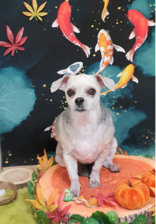 쮸동비님이 올린 리뷰 사진 3