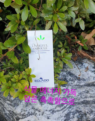 참살이님이 올린 리뷰 사진 1