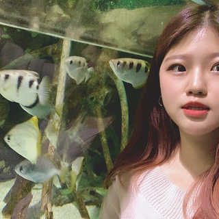 히쁘님이 올린 리뷰 사진 4