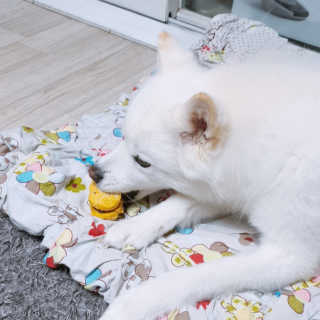 kay님이 올린 리뷰 사진 1