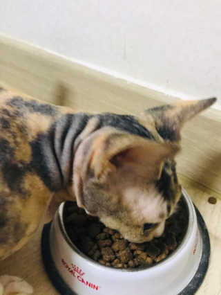 이아님이 올린 리뷰 사진 3