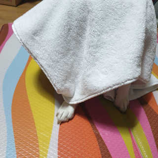 beaglelove님이 올린 리뷰 사진 2