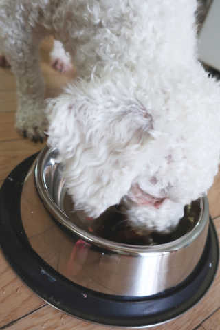 뽕2님이 올린 리뷰 사진 4