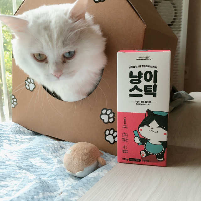 [멍이옹이스토리]냥이스틱 1box 10포 리뷰 사진