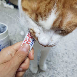 도로농농님이 올린 리뷰 사진 4
