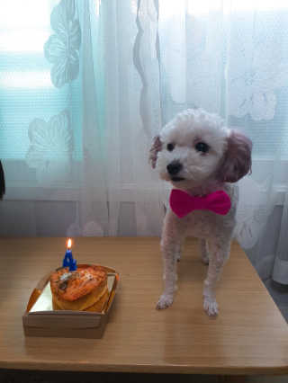주여니이님이 올린 리뷰 사진 2