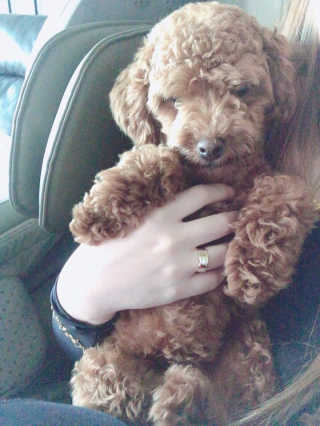 🫶🧸🫶님이 올린 리뷰 사진 3