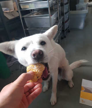 Jenny님이 올린 리뷰 사진 1