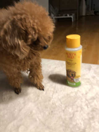 영콩님이 올린 리뷰 사진 3