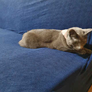 율집사님이 올린 리뷰 사진 3