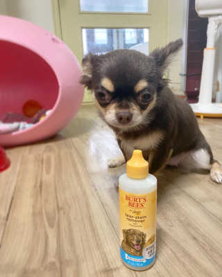 세로롱님이 올린 리뷰 사진 2