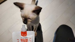 CatDaddy님이 올린 리뷰 사진 4