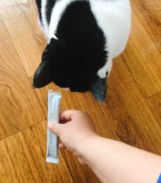 빈물딸기님이 올린 리뷰 사진 3