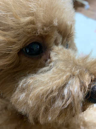 코끼리님이 올린 리뷰 사진 3