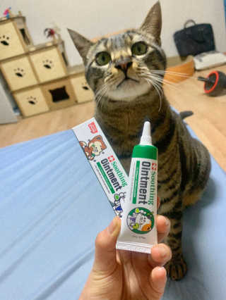 오아희님이 올린 리뷰 사진 1