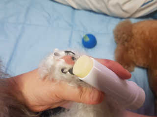 홍소영님이 올린 리뷰 사진 3