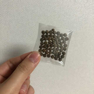 예진약방 그날을 위한 그날세첩 (3종) — 5점을 준 리뷰어가 2020년 11월 올린 사용 사진