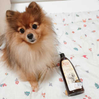 은선이짱님이 올린 리뷰 사진 2