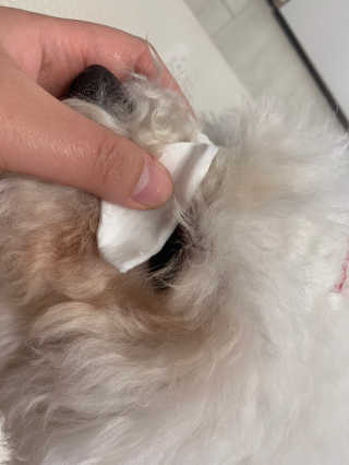 용용맹님이 올린 리뷰 사진 2