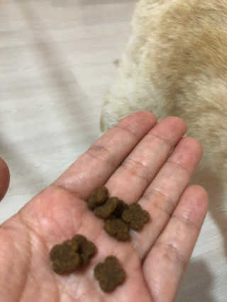 보라보라님이 올린 리뷰 사진 2