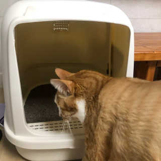 악악님이 올린 리뷰 사진 3