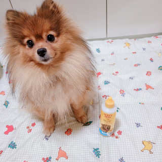 은선이짱님이 올린 리뷰 사진 2