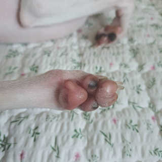 [레드허니밤]자유펫 고양이 강아지 발바닥 밤 14g — 5점을 준 리뷰어가 2020년 7월 올린 사용 사진