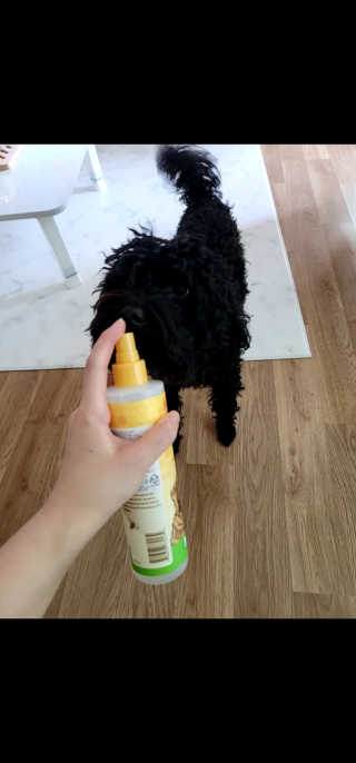 ❤꼬네우니🧡님이 올린 리뷰 사진 3