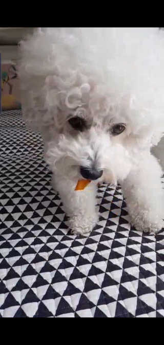 Anna님이 올린 리뷰 사진 1