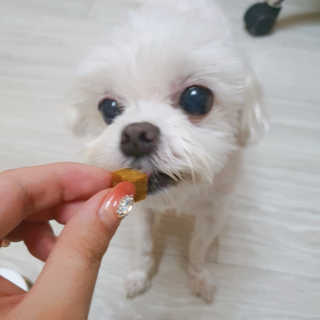 라임님이 올린 리뷰 사진 2
