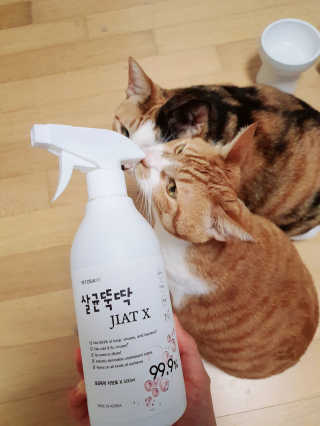우정찡님이 올린 리뷰 사진 2