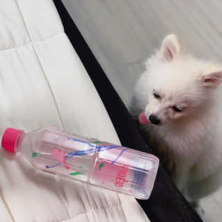 아쿠아스 플레이버워터 [아쿠아스] 제로칼로리 플레이버워터 복숭아/청포도 1BOX 20개입 — 5점을 준 리뷰어가 2020년 7월 올린 사용 사진
