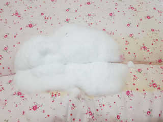 조소민님이 올린 리뷰 사진 3