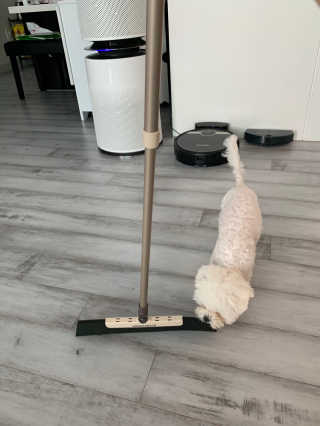 큐티윤님이 올린 리뷰 사진 3
