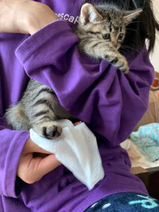 시리꽃님이 올린 리뷰 사진 4