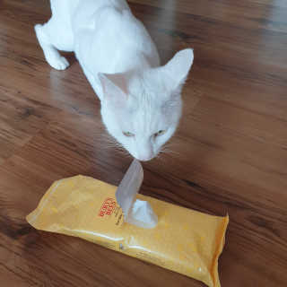 코코야옹님이 올린 리뷰 사진 2