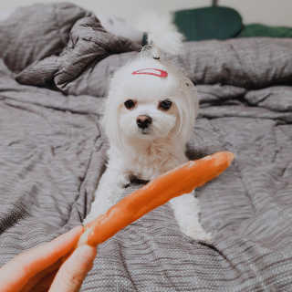 리쩡님이 올린 리뷰 사진 1