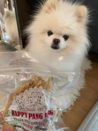 리디아은서님이 올린 리뷰 사진 2