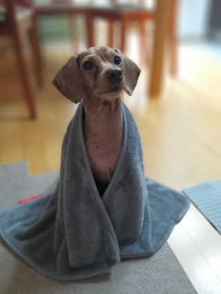 풀빛사랑님이 올린 리뷰 사진 3