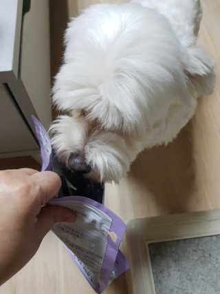 My Pet Care 천연단백질 치아건강에 개좋아 — 5점을 준 리뷰어가 2020년 11월 올린 사용 사진